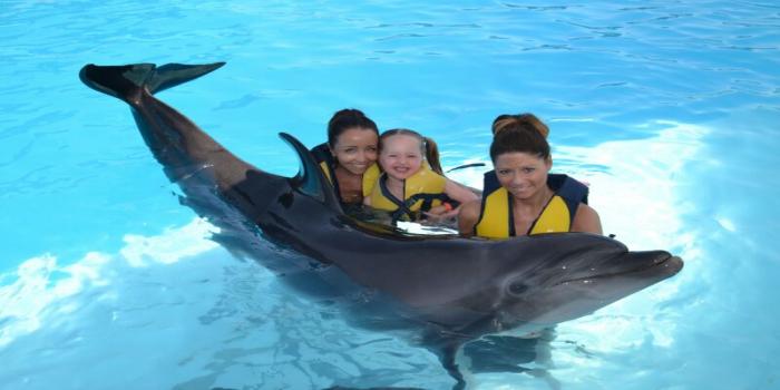 https://traveltopchoice.com/storage/2024/11/Dolphin_Show_Hurghada_Trip_299649.jpg