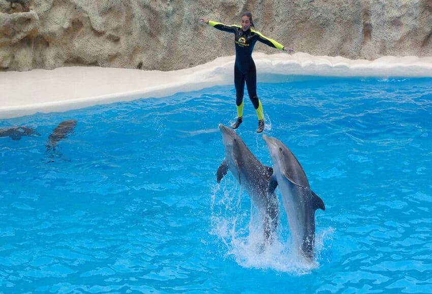 https://traveltopchoice.com/wp-content/uploads/2024/11/145-16.jpg
