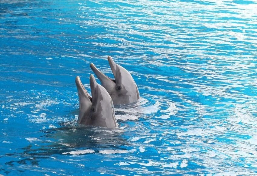 https://traveltopchoice.com/wp-content/uploads/2024/11/145-17.jpg