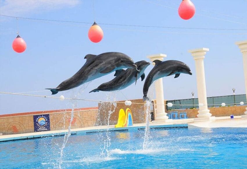 https://traveltopchoice.com/wp-content/uploads/2024/11/145-18-1.jpg
