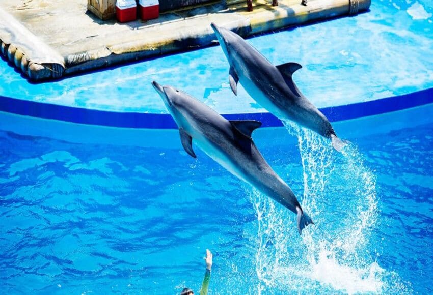 https://traveltopchoice.com/wp-content/uploads/2024/11/145-19.jpg