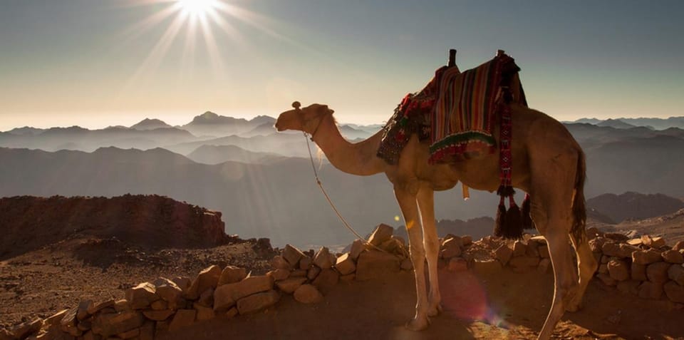 https://traveltopchoice.com/wp-content/uploads/2024/11/145-56.jpg