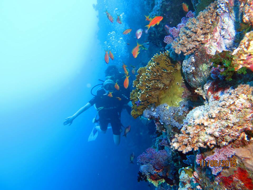 https://traveltopchoice.com/wp-content/uploads/2024/11/1977046_384116908445408_2488443146955270359_n.jpg