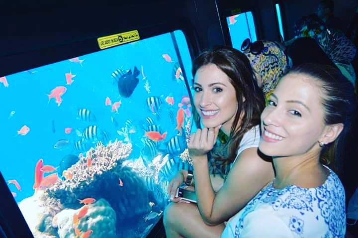 https://traveltopchoice.com/wp-content/uploads/2024/11/1a71184e3c49b567ac97ac6f39426ca4.jpg