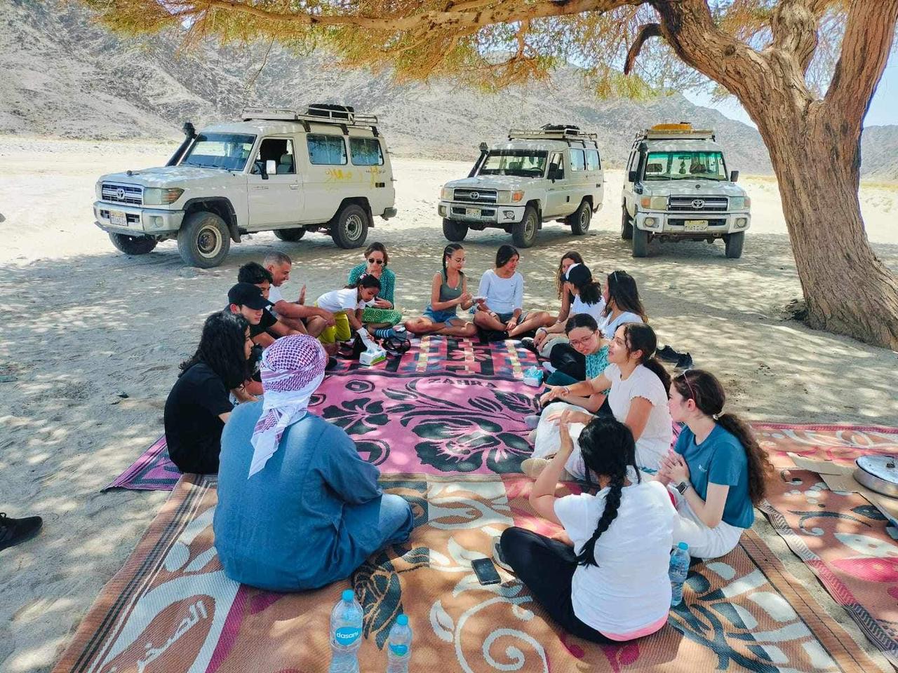 https://traveltopchoice.com/wp-content/uploads/2024/11/286302-مجموعة-سياح-فى-إحدى-رحلات-السفارى-مع-قرب-الغروب.jpg