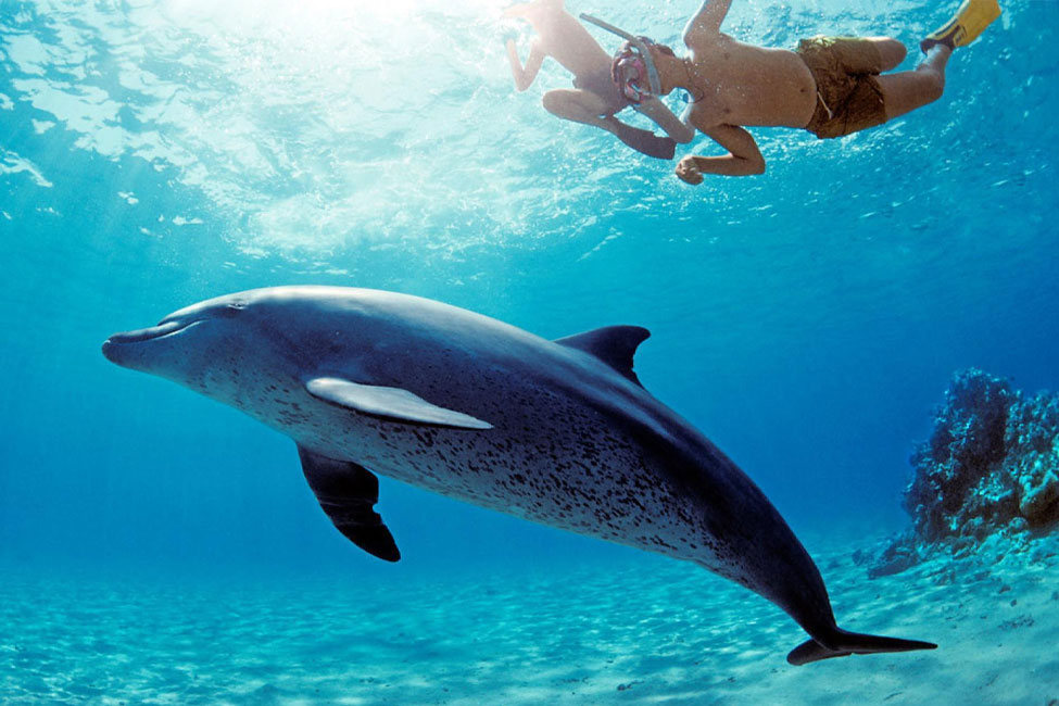 https://traveltopchoice.com/wp-content/uploads/2024/11/3.jpg