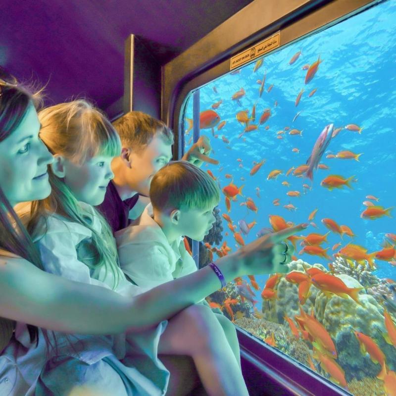 https://traveltopchoice.com/wp-content/uploads/2024/11/316282243.jpg