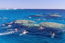 https://traveltopchoice.com/wp-content/uploads/2024/11/45w667iio7.jpg