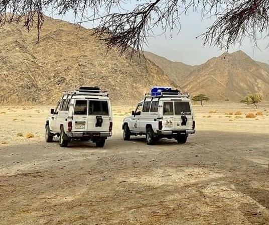 https://traveltopchoice.com/wp-content/uploads/2024/11/65787-رحلات-بعدة-مناطق-.jpg