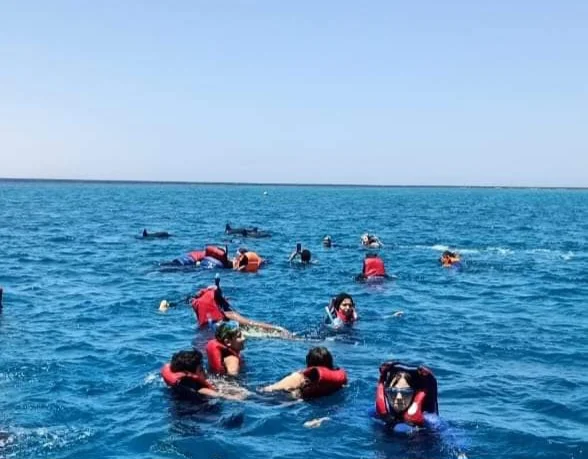 https://traveltopchoice.com/wp-content/uploads/2024/11/81241-رحلات-السنوركلنج.webp