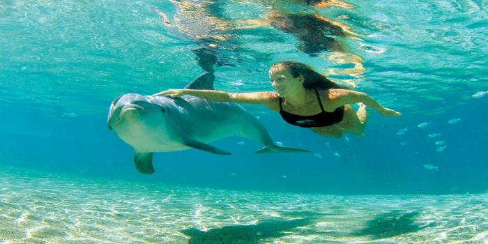 https://traveltopchoice.com/wp-content/uploads/2024/11/Dolphine_House_Trip_Hurghada_871676.jpg