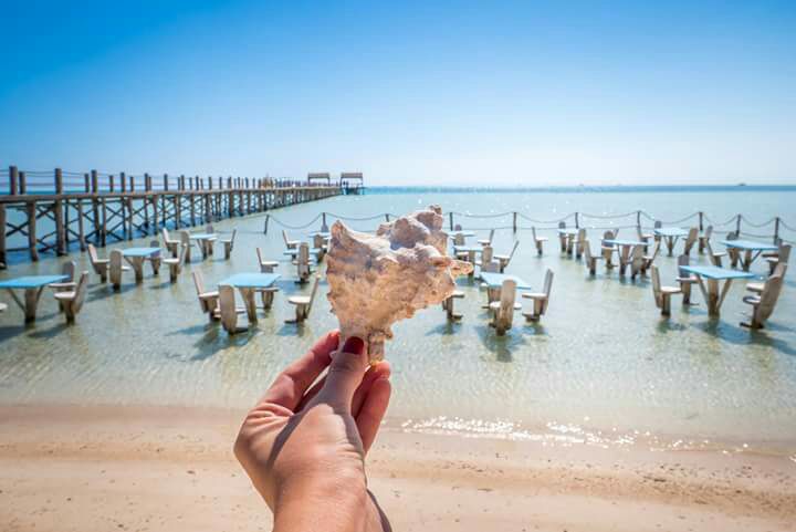 https://traveltopchoice.com/wp-content/uploads/2024/11/Snorkeling-orange-bay-island.jpg