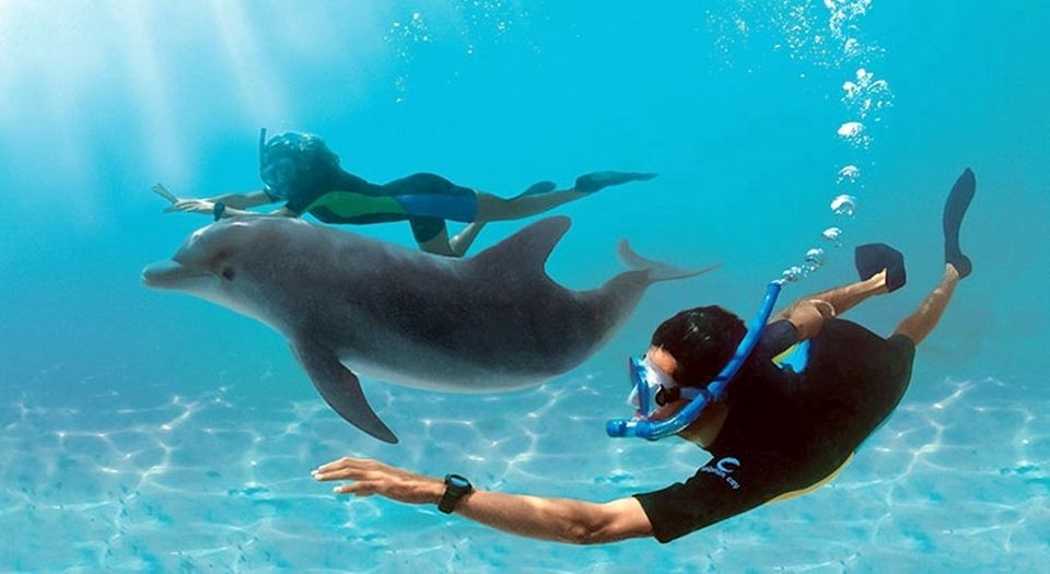 https://traveltopchoice.com/wp-content/uploads/2024/11/b251420e21601389fa396695313405f8.jpg_2020-02-17-01-33-40.jpg