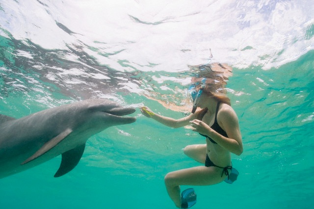 https://traveltopchoice.com/wp-content/uploads/2024/11/dolphin-house-16.jpg