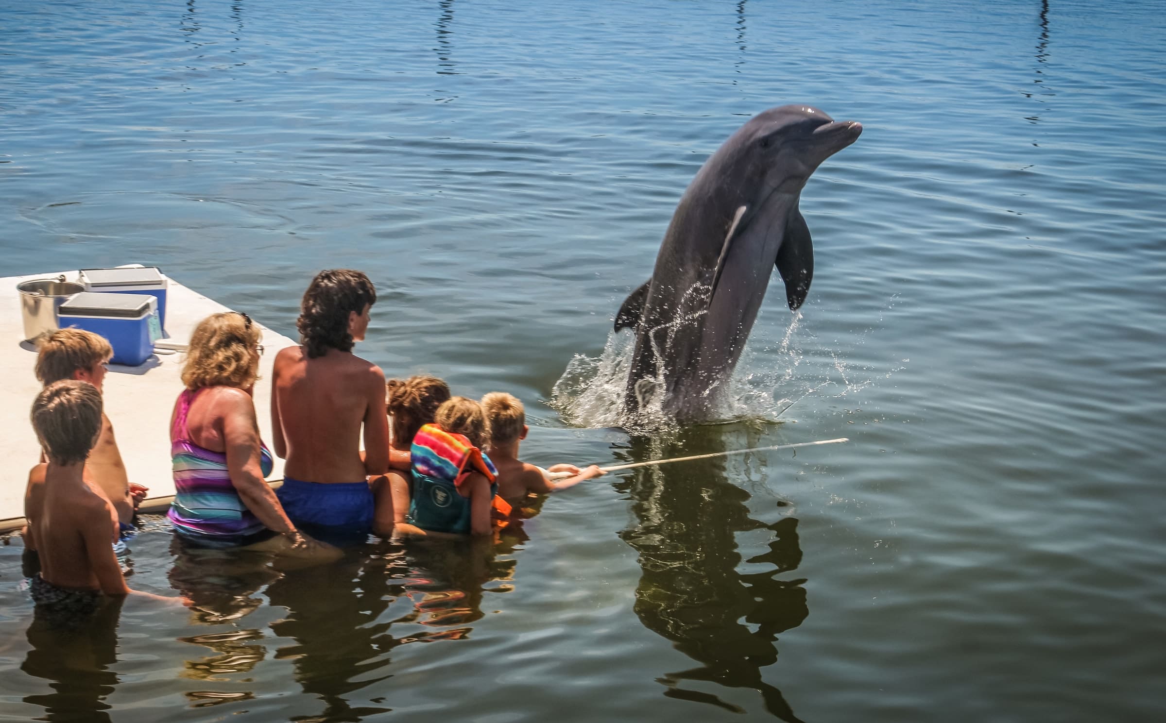 https://traveltopchoice.com/wp-content/uploads/2024/11/zwemmen-met-dolfijnen-in-Curacao.jpg