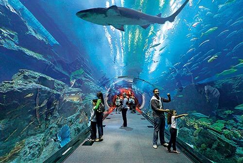 https://traveltopchoice.com/wp-content/uploads/2024/12/2018_7_1_12_45_32_486.jpeg