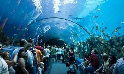 https://traveltopchoice.com/wp-content/uploads/2024/12/2018_7_1_12_45_37_377.jpg