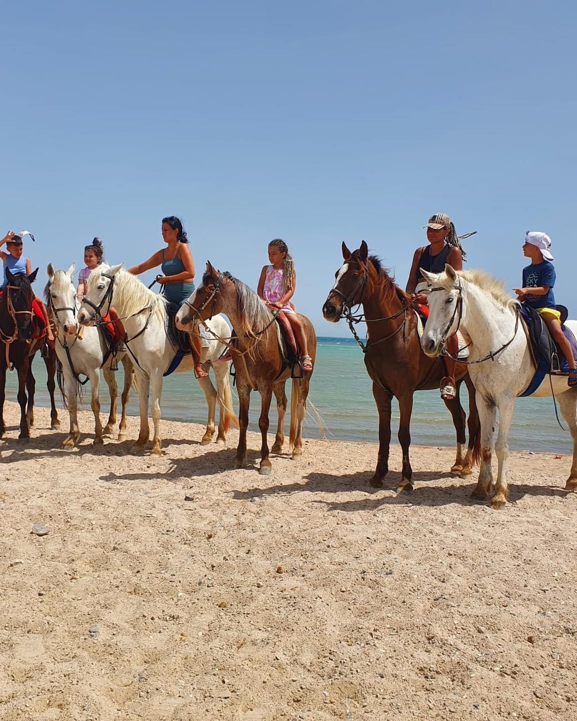 https://traveltopchoice.com/wp-content/uploads/2024/12/296761-الخيول-والسياح-على-شواطئ-الغردقة-.jpg