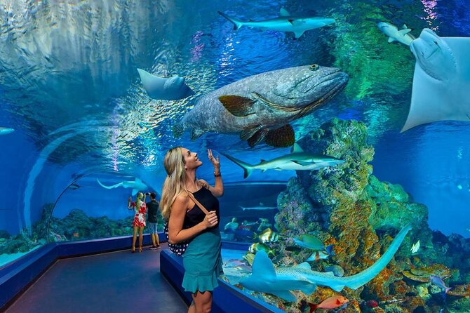 https://traveltopchoice.com/wp-content/uploads/2024/12/34.jpg