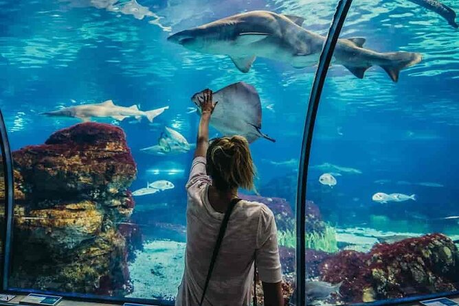 https://traveltopchoice.com/wp-content/uploads/2024/12/3f.jpeg