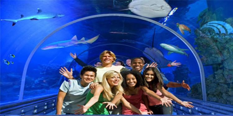 https://traveltopchoice.com/wp-content/uploads/2024/12/Grand_Aquarium_Hurghada_91594.jpg