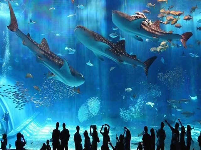 https://traveltopchoice.com/wp-content/uploads/2024/12/Hurghada-Grand-Aquarium-4.jpg