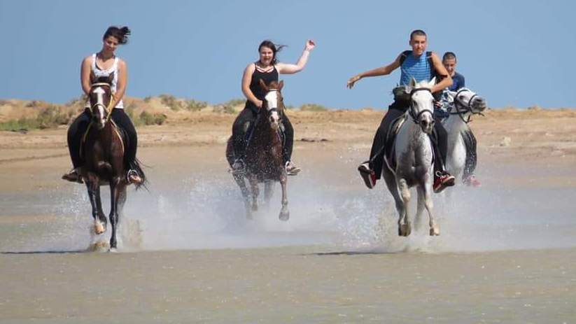 https://traveltopchoice.com/wp-content/uploads/2024/12/horseback_riding_in_hurghada.jpg