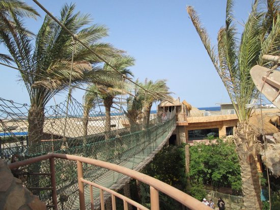 https://traveltopchoice.com/wp-content/uploads/2024/12/hurghada-grand-aquarium.jpg