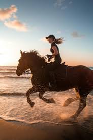 https://traveltopchoice.com/wp-content/uploads/2024/12/images-17.jpg