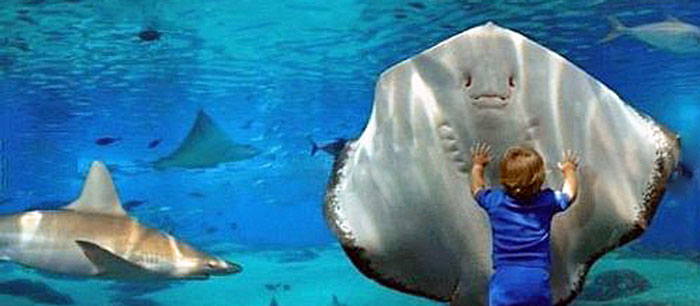 https://traveltopchoice.com/wp-content/uploads/2024/12/marine-text.jpg