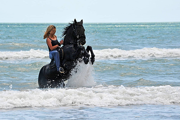 https://traveltopchoice.com/wp-content/uploads/2024/12/pngtree-rearing-horse-in-the-sea-stallion-holidays-horseback-riding-photo-image_5022004.jpg