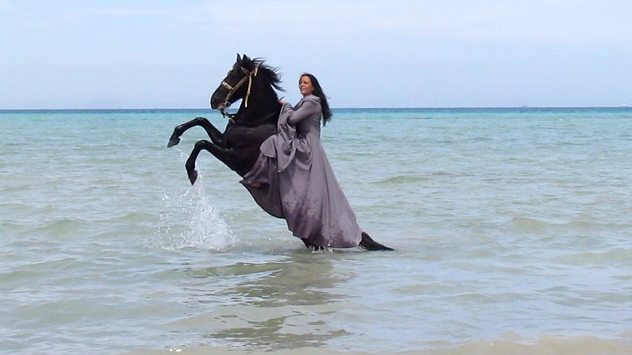 https://traveltopchoice.com/wp-content/uploads/2024/12/swimming-with-the-amazing.jpg